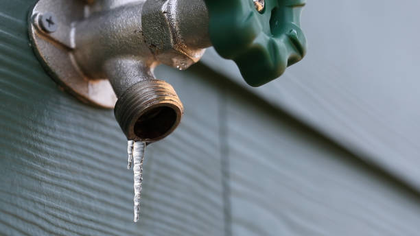Best Plumbing Services Near Me  in Kronenwetter, WI
